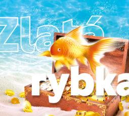Losy Zlatá rybka - recenze